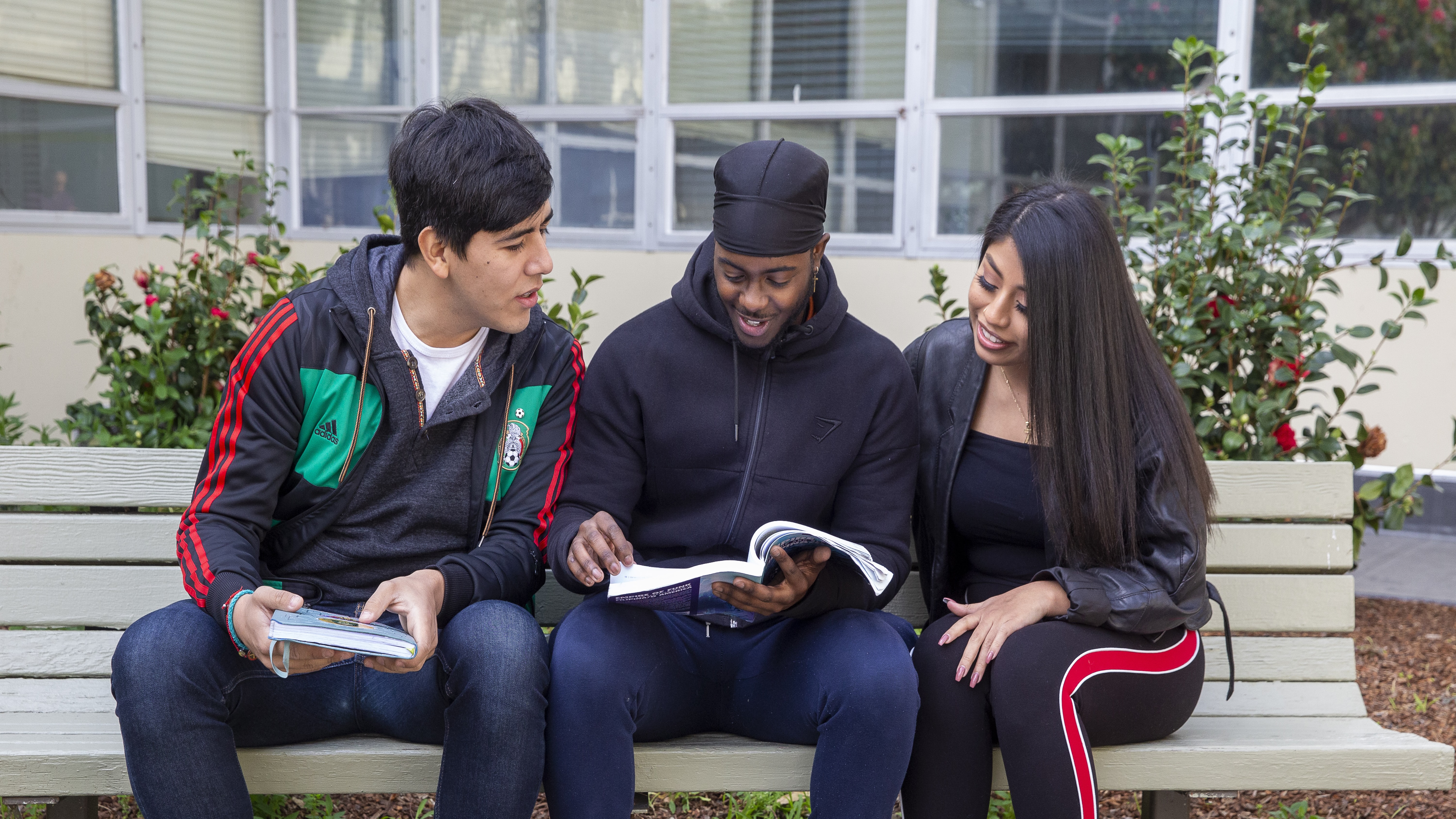 three students studying on a bench